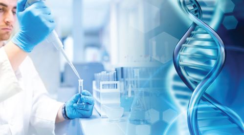 兩地生物科技合作 聯(lián)合發(fā)力，共筑生命科學(xué)新未來